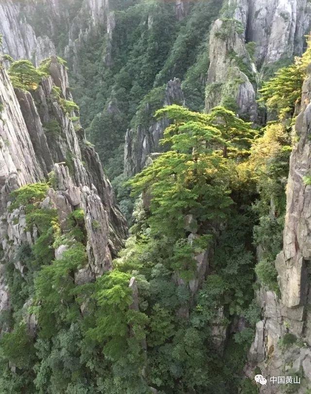 建水实验中学捐赠300万元驰援昭通镇雄救灾